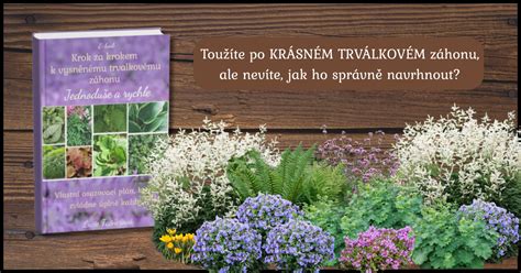 ilustrativni grafika k trvalkovemu Zahonu