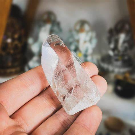 kroky-vysazu-fotografie-cristal-podnět