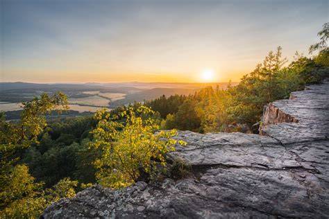 fotografie pajasanů v znojemské krajinné scenérii