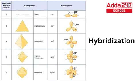 hybridizace orchidejí vizuální schéma