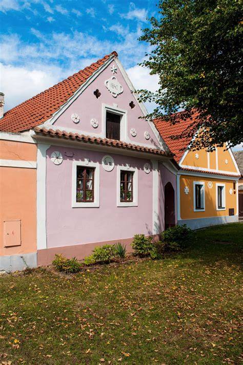 vizuální znázornění typů popínavek na fasádách