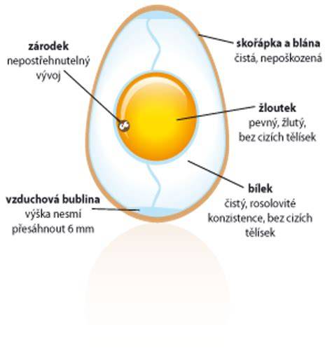 Struktura granulí slepičího hnůj