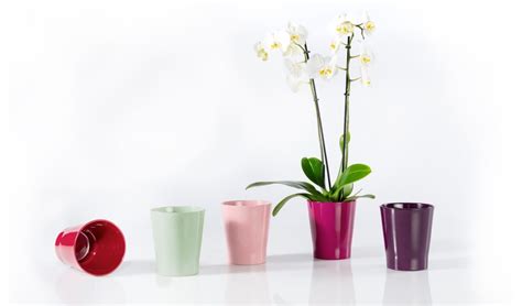 kvetinac na orchidej zavěšný Sky Planter