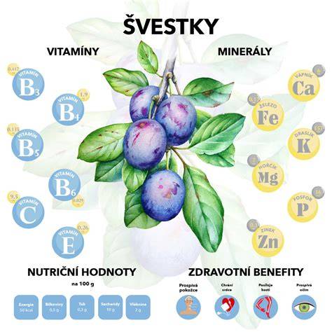 ilustrativní infografika o aroniích benefitech