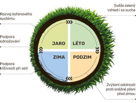 Infografika plánování výsevu trávníku