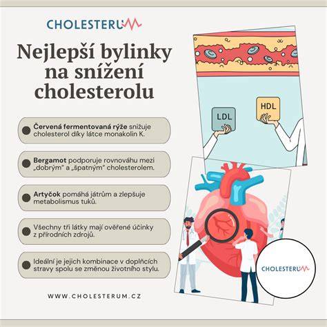 infografika o bezpečném zpracování bylinek