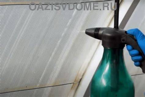 Dezinfekce skleníku: krok za krokem