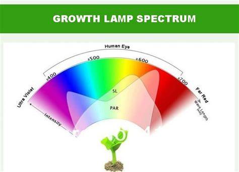 infografika spektrum LED pro rostliny