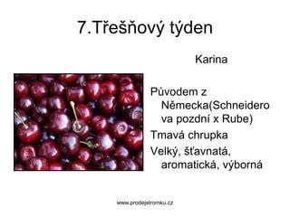 Ukázka vzorků plodů třešně Tamara