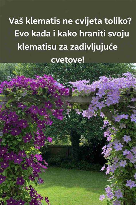 klematisu-vnutor-strom-konstrukce