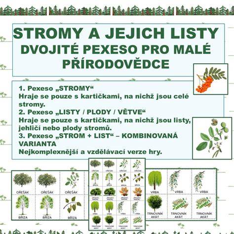 Různé typy sukulentů a jejich listy