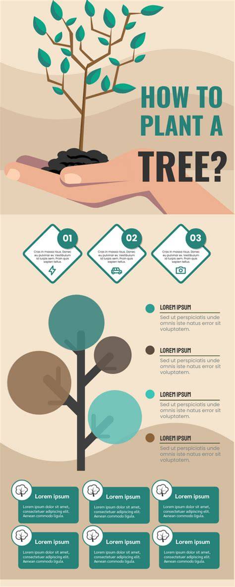 illustrative infographic of tree planting steps