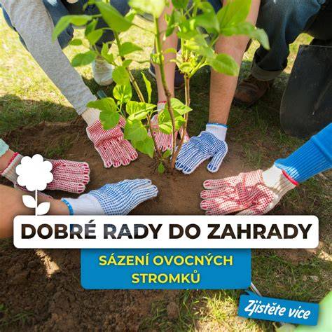 Rady pro výsadbu a ochranu mladých stromků