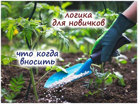 rozložení dusíku a rohoviny v hnojivu