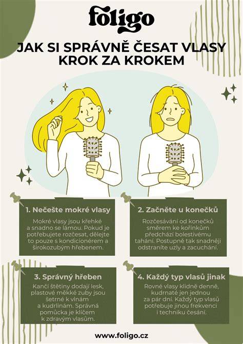 infografika cyklu růstu vlasů