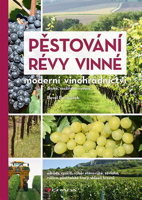 vizuální průřez řezem vinné révy