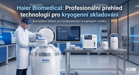 přehled sklizně a skladování špenátu