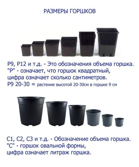 инфографика о размерах горшков и формах стволов