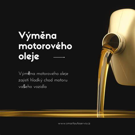 ilustrační infografika výměna oleje sekačka