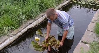 košík jezírko výsadba vodních rostlin