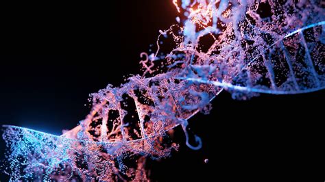 vizualizace_naklad_dna_rozdeleni_vyetiv