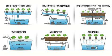 Diagram hydroponických metod pěstování orchidejí