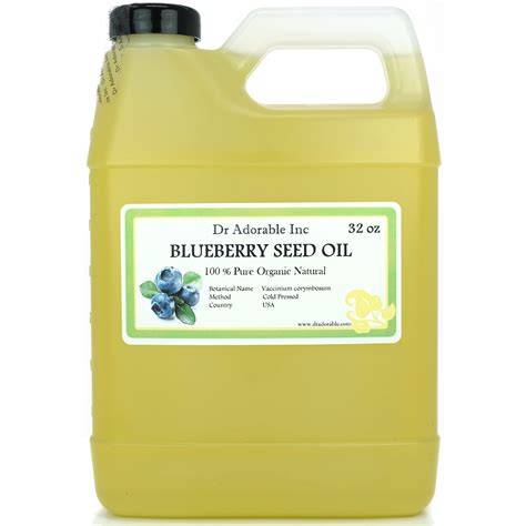 illustration of blueberry seed oil usage