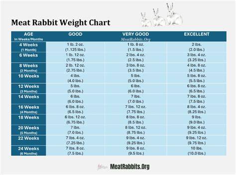 hyla hybrid rabbit growth chart