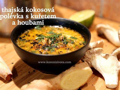 kroku kokosová polévka ilustrace