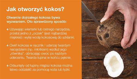 infografika_hnojeni_kokos_substrát