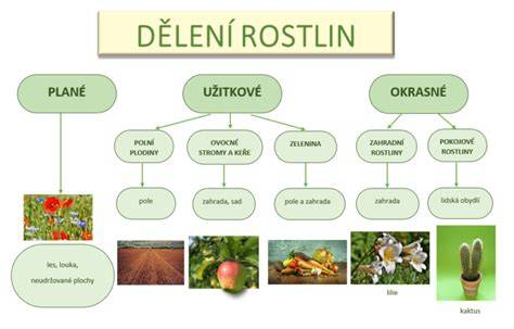 infografika rozdělení květin podle biotopu