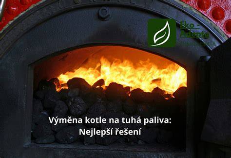výměna semen na komunitním trhu