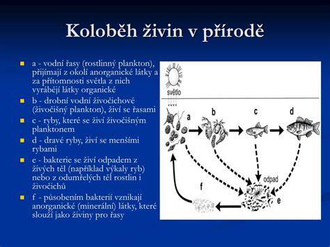 grafické znázornění koloběhu živin v popelu a půdě