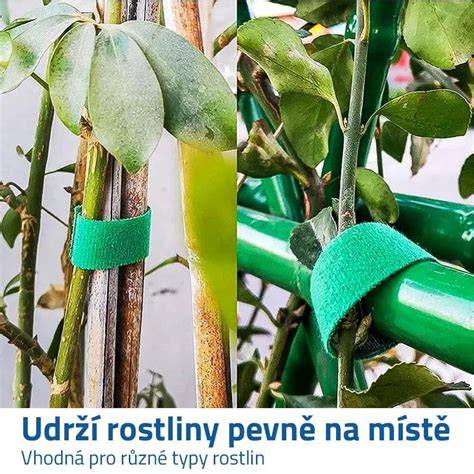chloridove vlivy na rostliny infografika