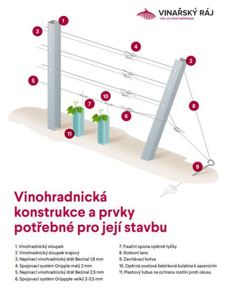 opěrná konstrukce a výsadba vinice